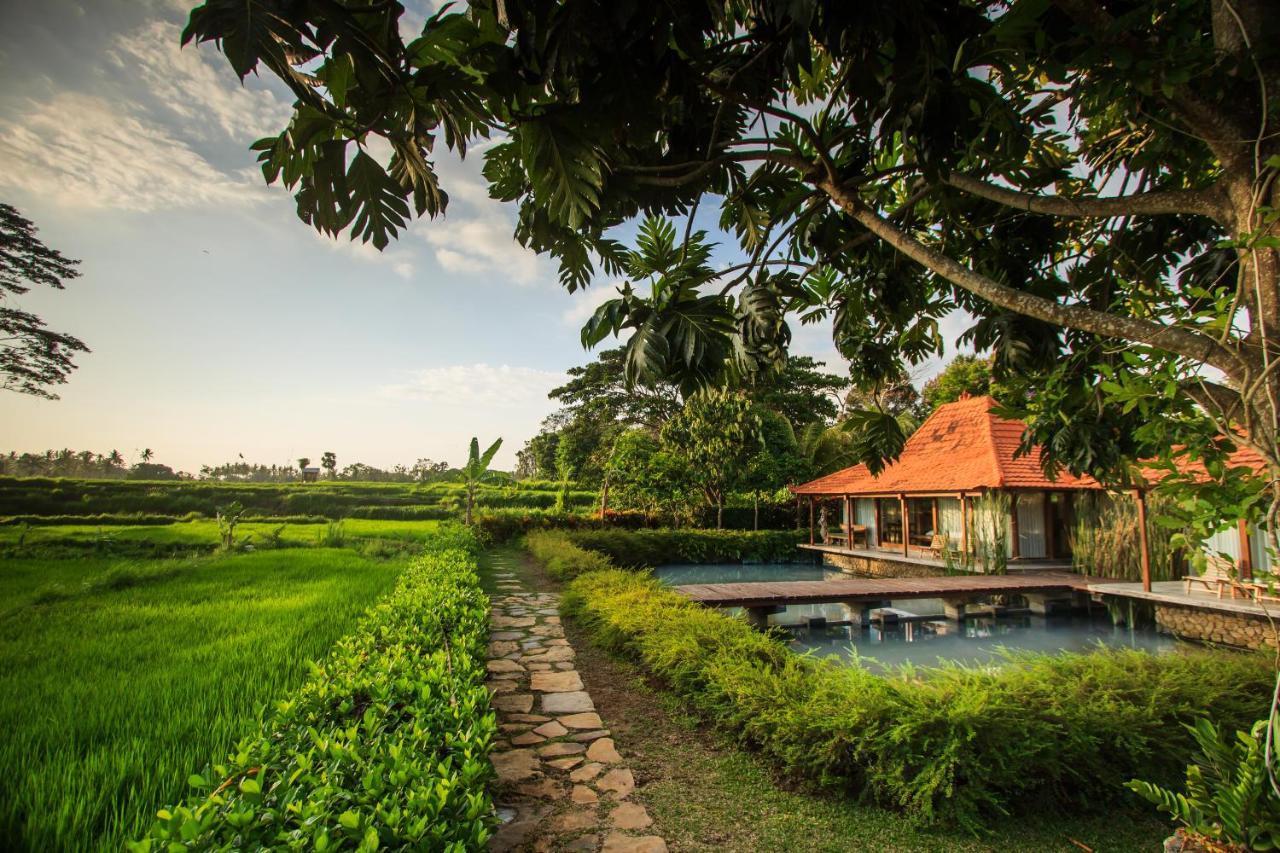 Griya Kcb Villa Ubud  Exterior photo
